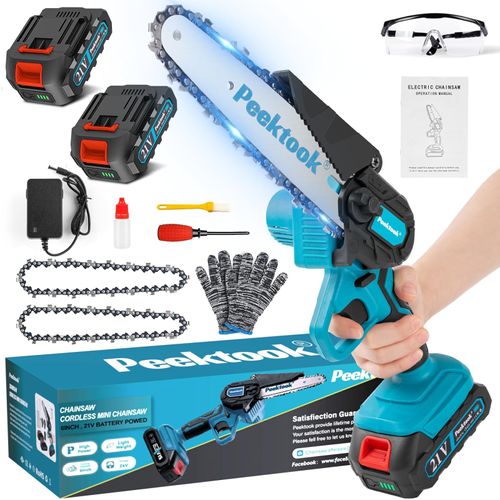 meilleure mini tronconneuse
